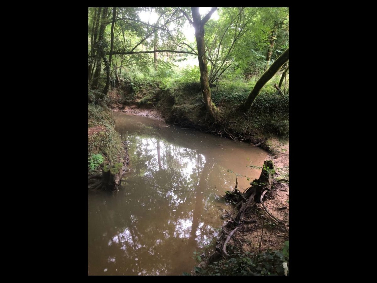 Découverte de la biodiversité au fil de l'eau