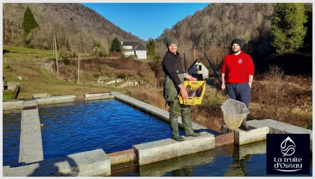 Pisciculture la truite d'Ossau
