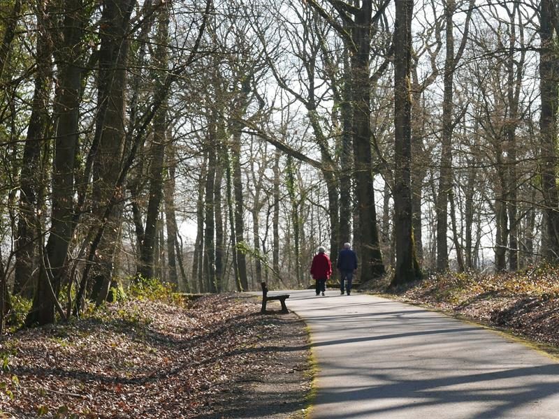 Parcours de santé