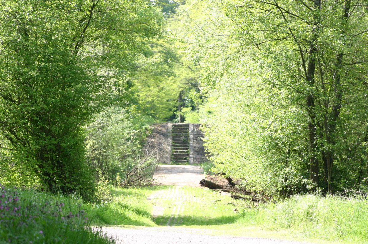 Île de Caqueret