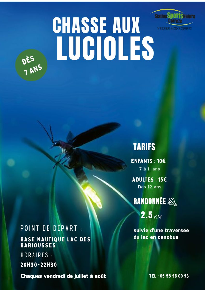 Chasse aux Lucioles