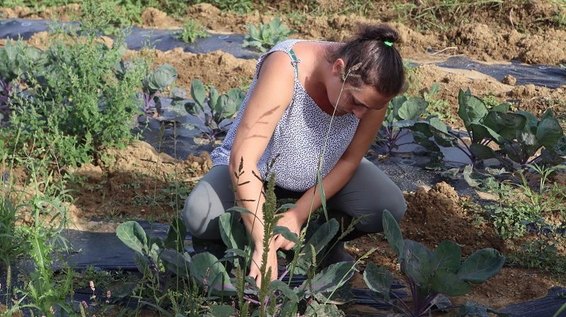 FERME D'EN JOUANTET