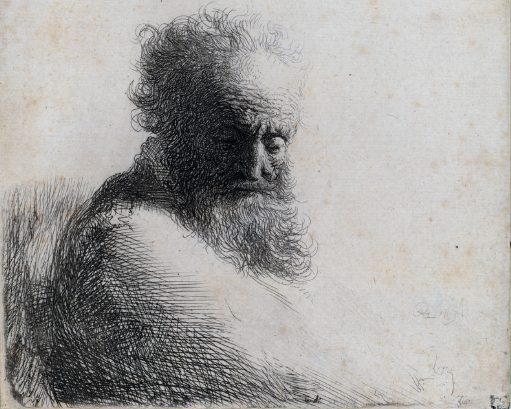 EXPOSITION "L'HÉRITAGE DE DARWIN DANS LE CADRE DE LA FÊTE DE LA SCIENCE"