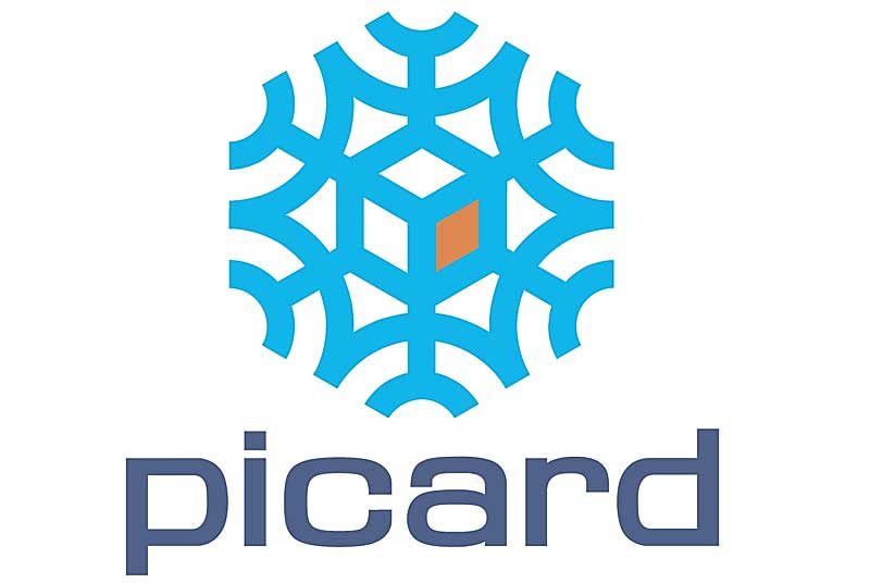 Picard surgelés