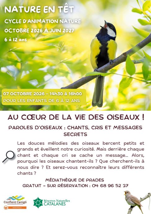 NATURE EN TÊT: AU COEUR DE LA VIE DES OISEAUX!