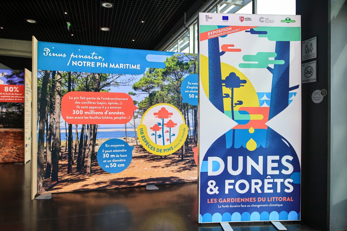 Exposition "Dunes et forêts, les gardiennes du littoral" - ONF, Cap Sciences, Région Nouvelle-Aquitaine