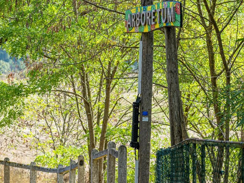 Arboretum