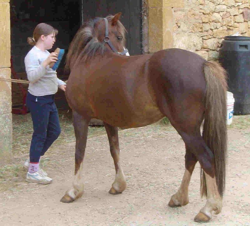 Centre Equestre d'Irina