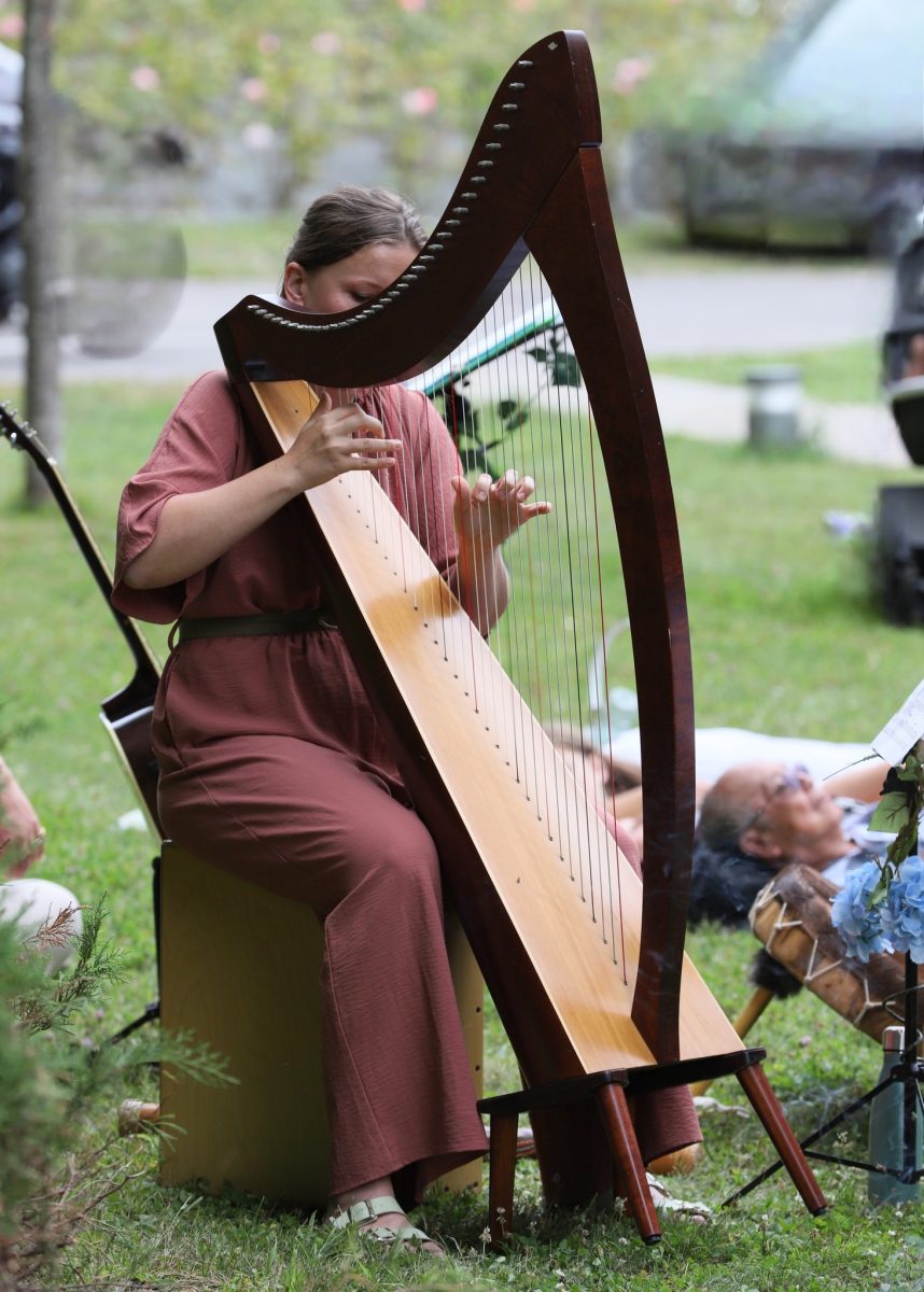 VENDREDIS GRATUITS | « DIVAGUE », Sieste Musicale – Compagnie Les 3 Coups l’Œuvre