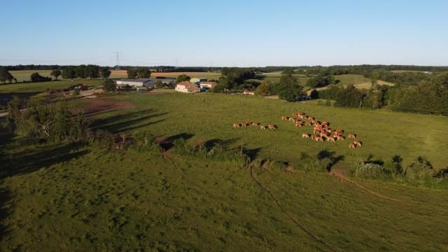 La Limousine Marnaysienne