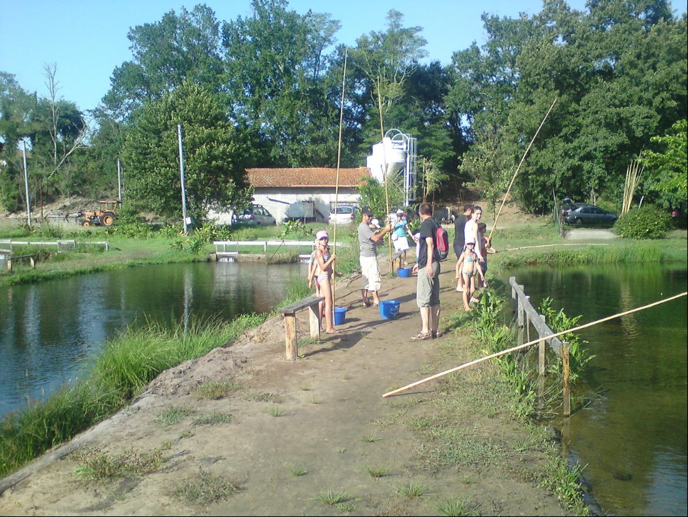 Pêche à la truite de Parentis du Moulin d’Esleys