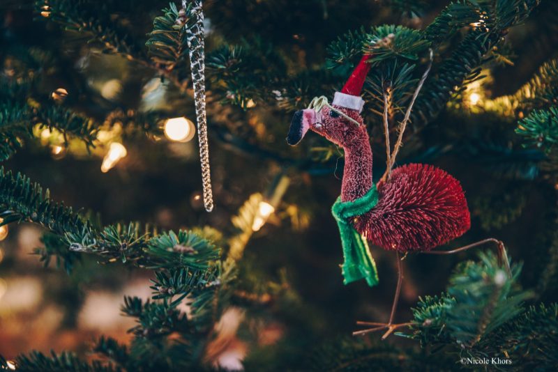 Le Sap'impro : Théâtre d'improvisation