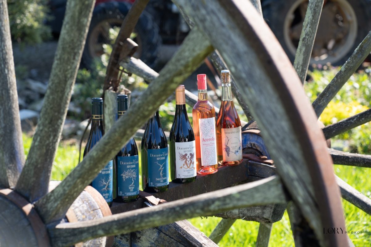 Domaine Gaud