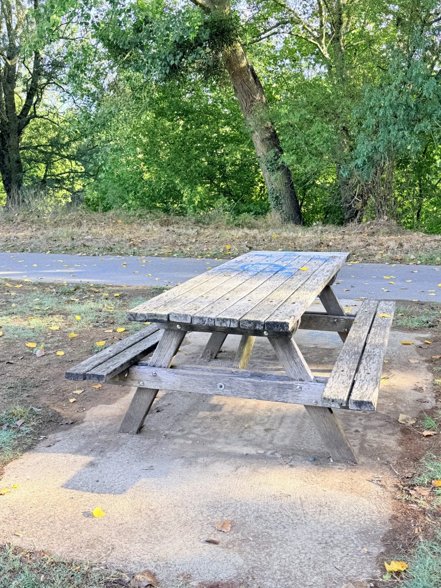 Aire de pique-nique IUT de Châtellerault