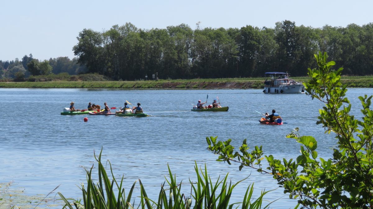 Pagaies des Bords de Saône
