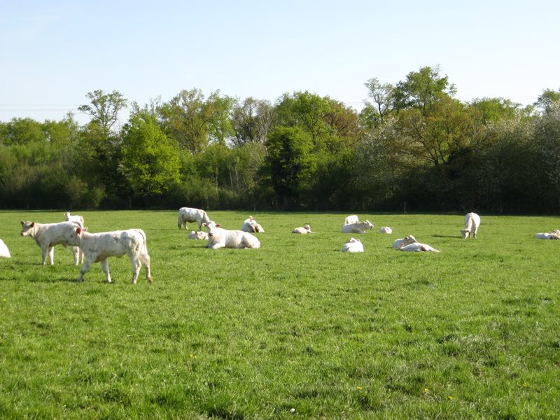 Ferme de La Prébenderie