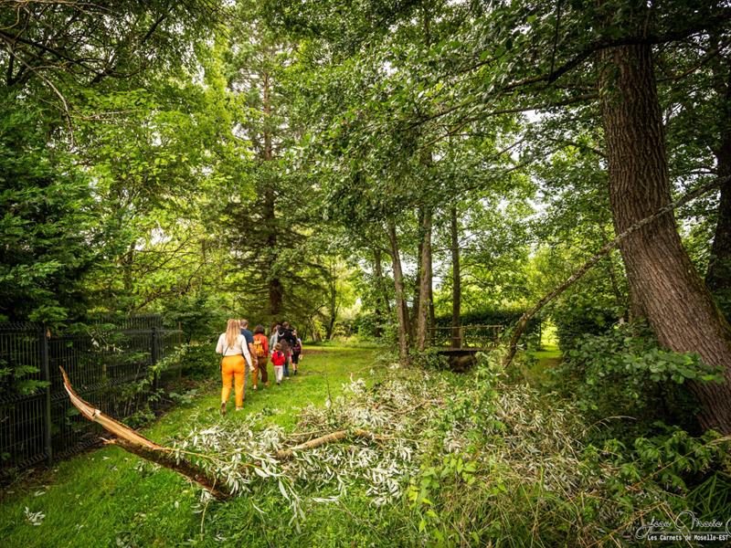 Balade contée au cœur du marais de Valette