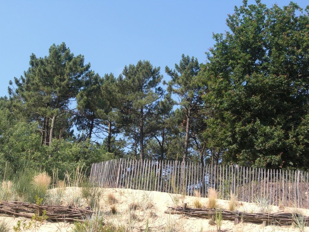 Parcours d'orientation "Le Cydel"