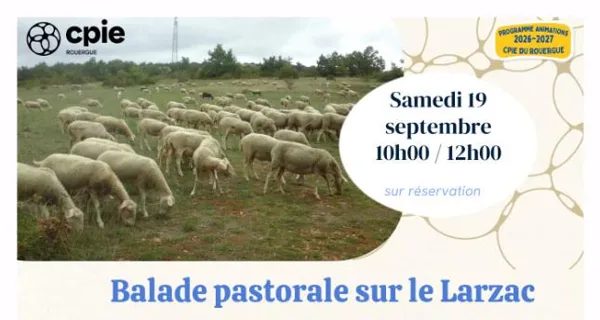 Nouveauté 2026 - " Balade pastorale sur le Larzac " avec le CPIE