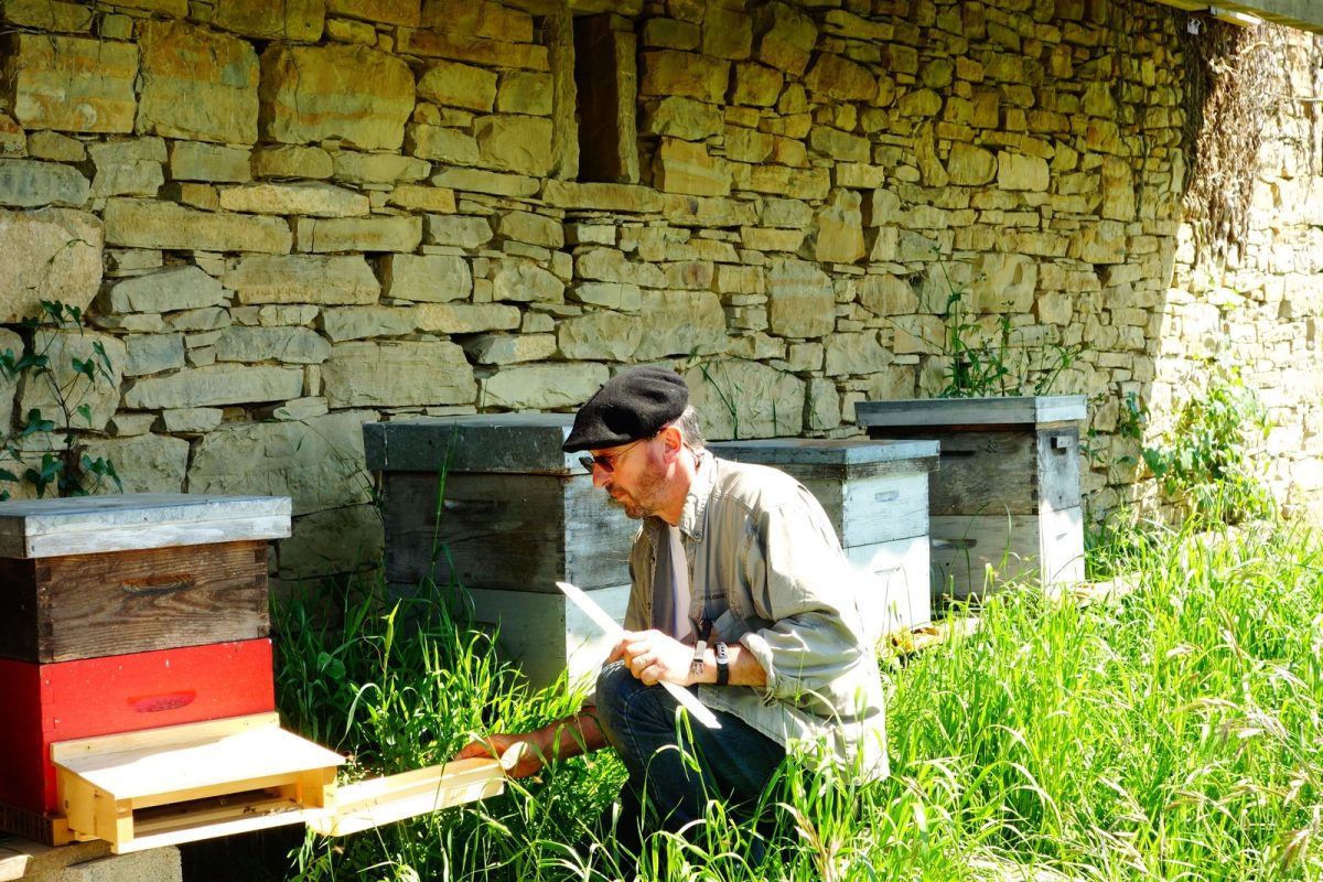 Ferme Larrondoa