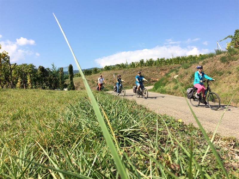 Alsa Cyclo Tours - L'Alsace, grandeur nature