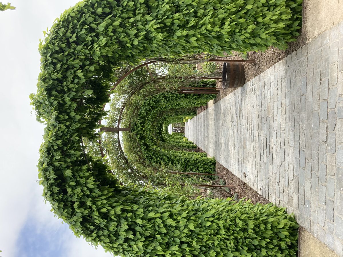 Jardin d'inspiration médiévale de la Maladrerie Saint-Lazare