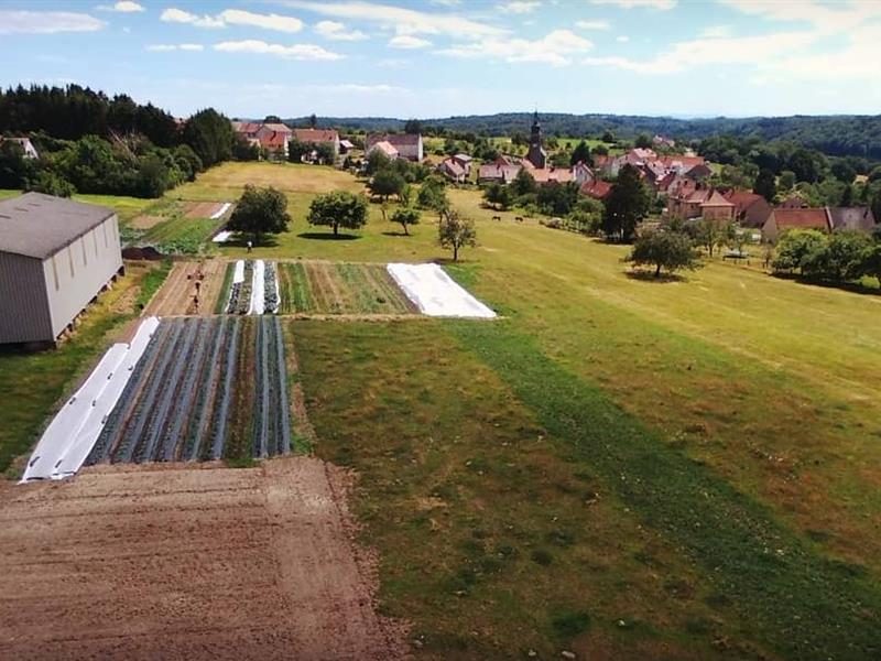 La ferme affable
