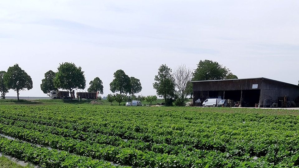 Ferme Heckmann Pierette