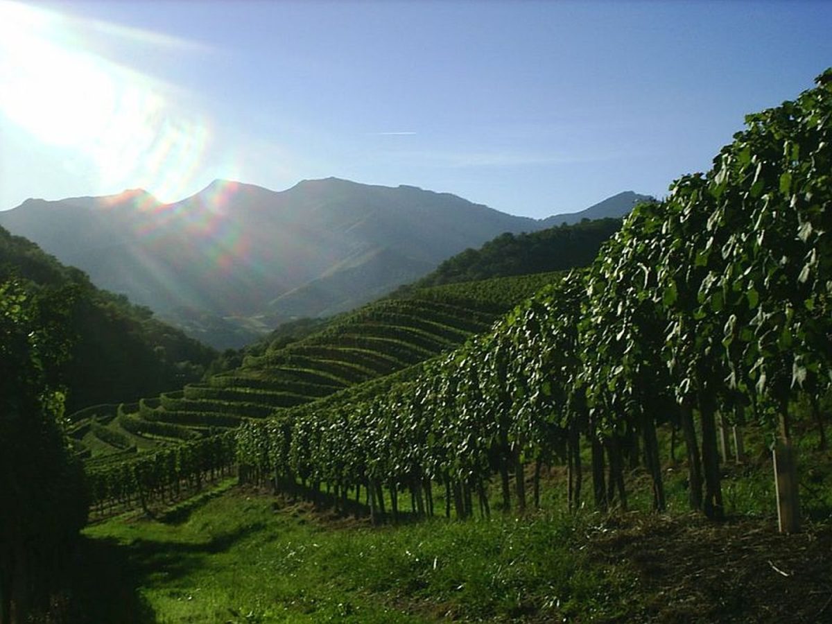 Domaine Etxegaraya