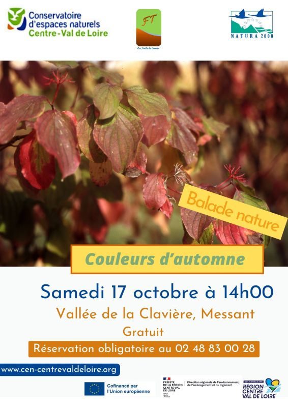 Sortie nature - Couleurs d'automne