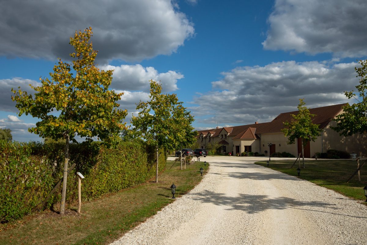 Champagne Etienne Oudart