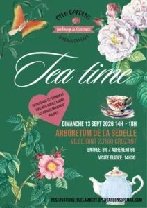 Tea time