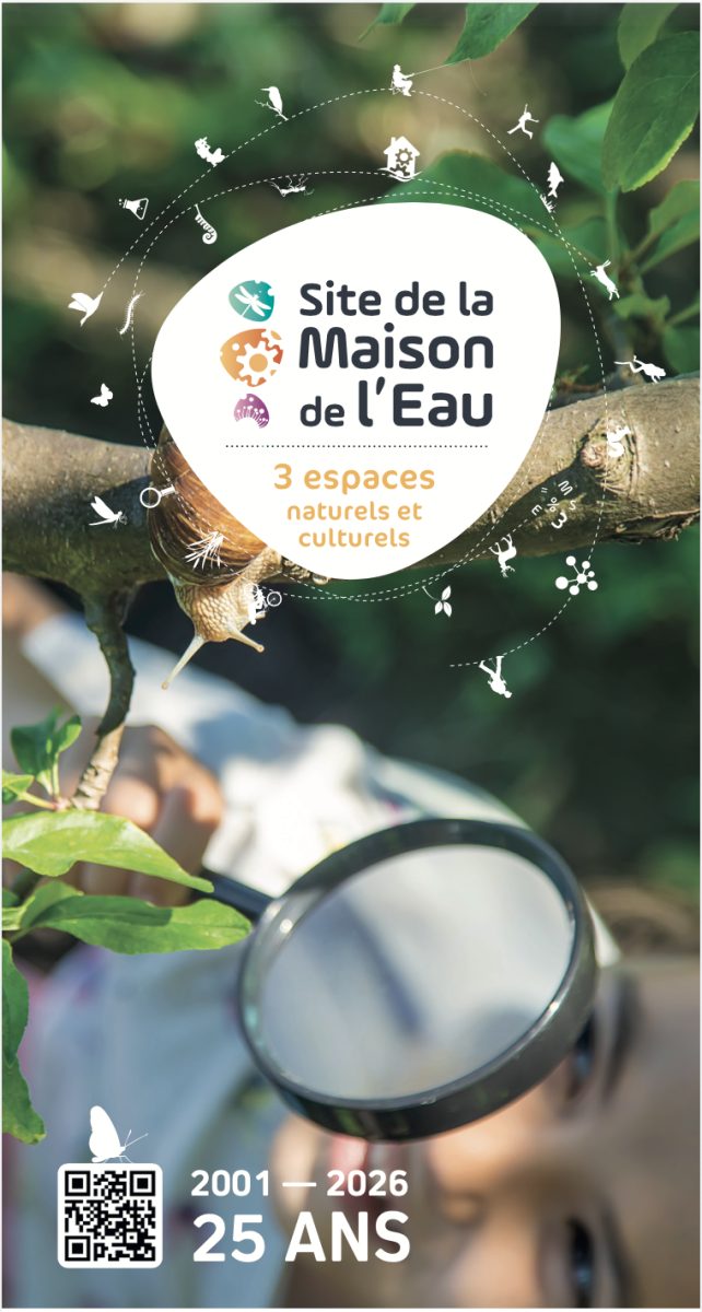 Nom d'un champignon !