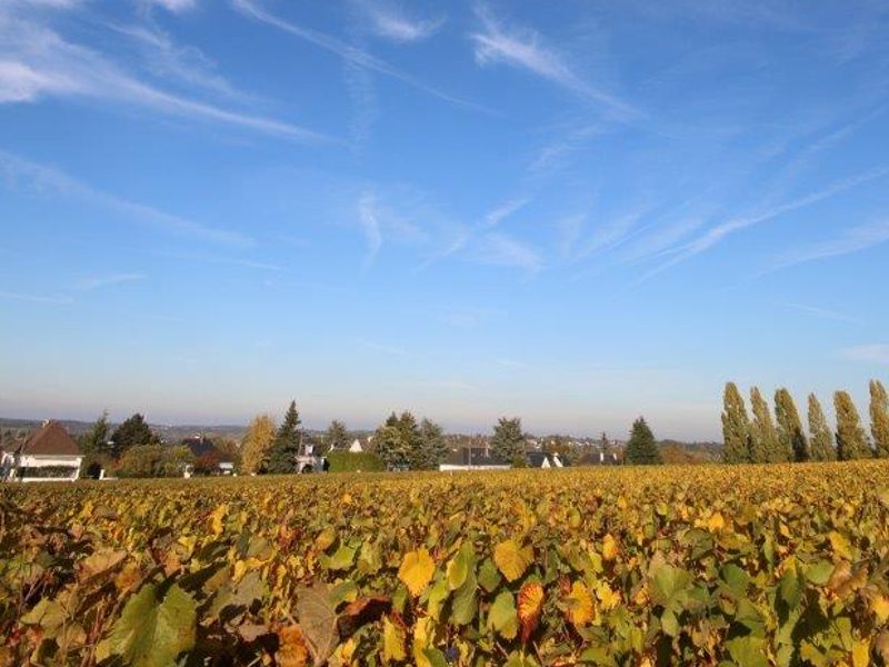 Le Domaine de la Gabillière