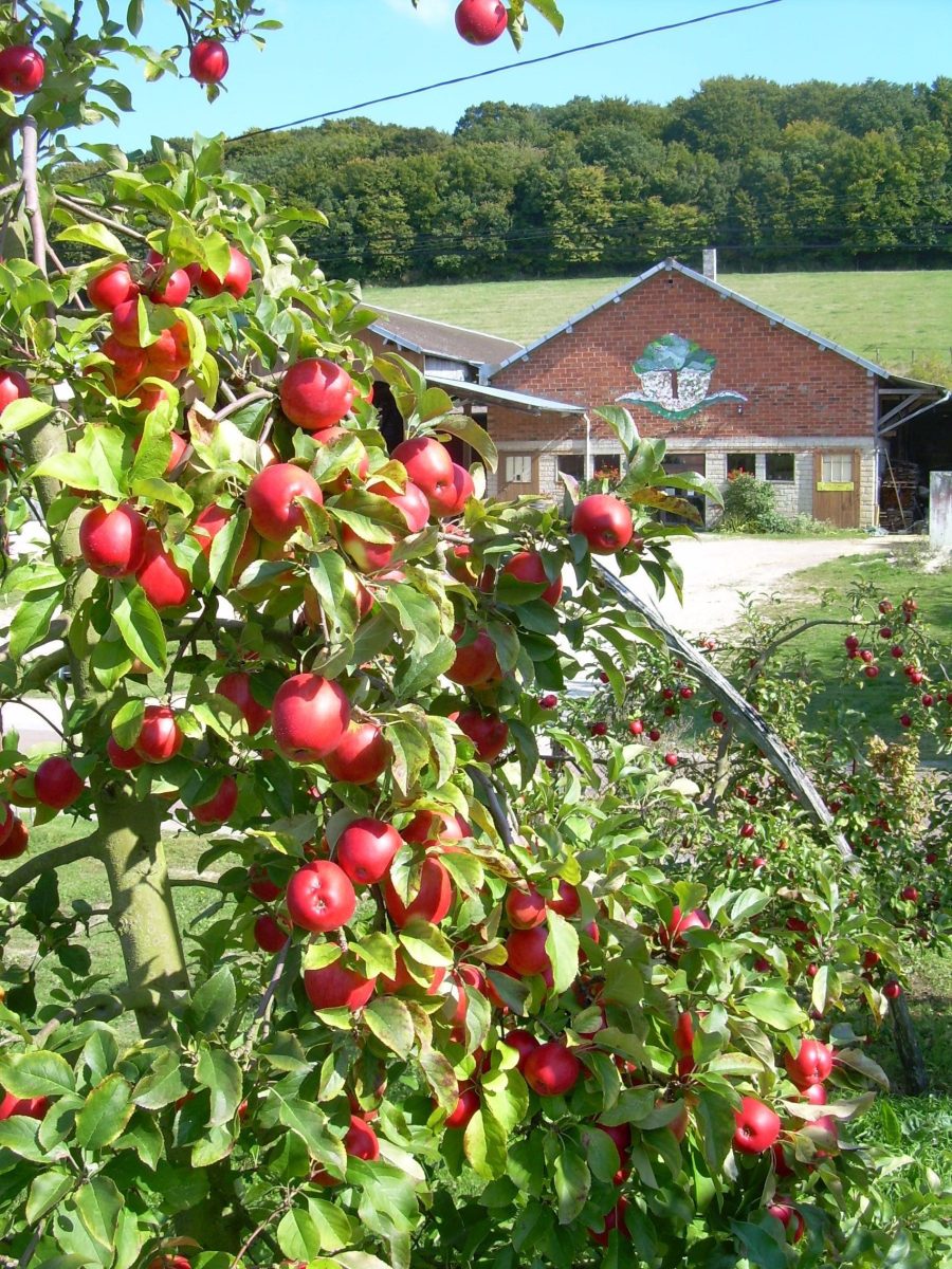 La Ferme des Charmes