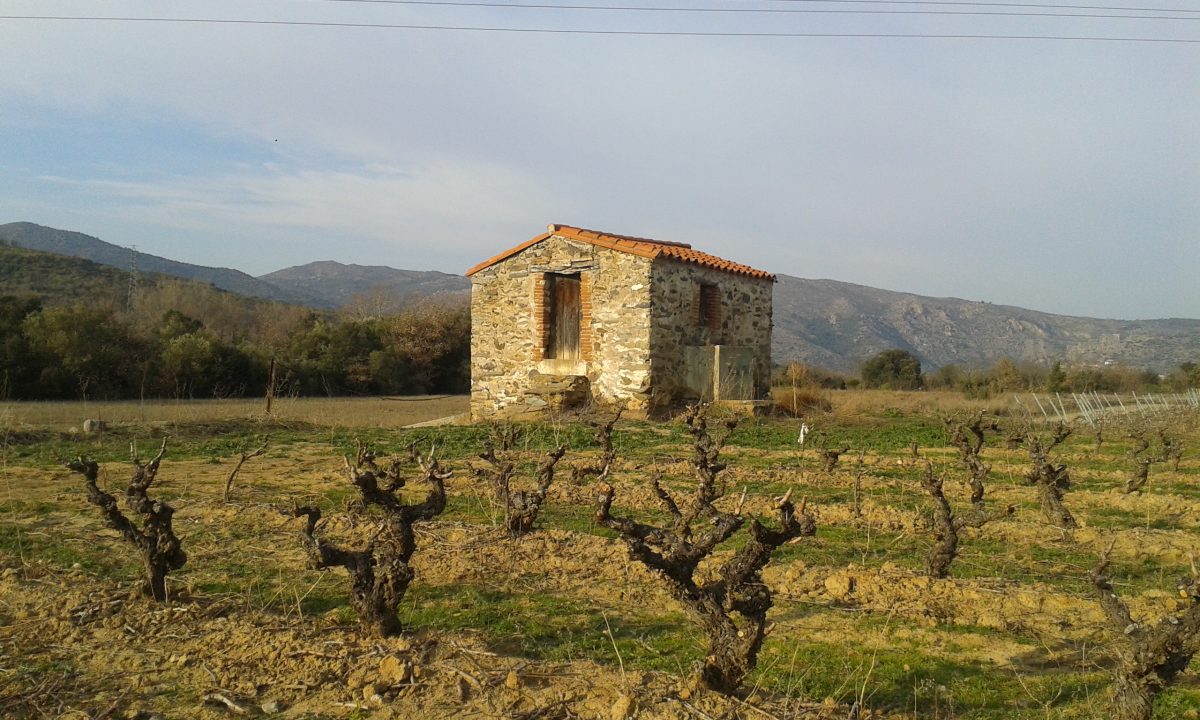 LES VIGNERONS EN TERRES PLURIELLES