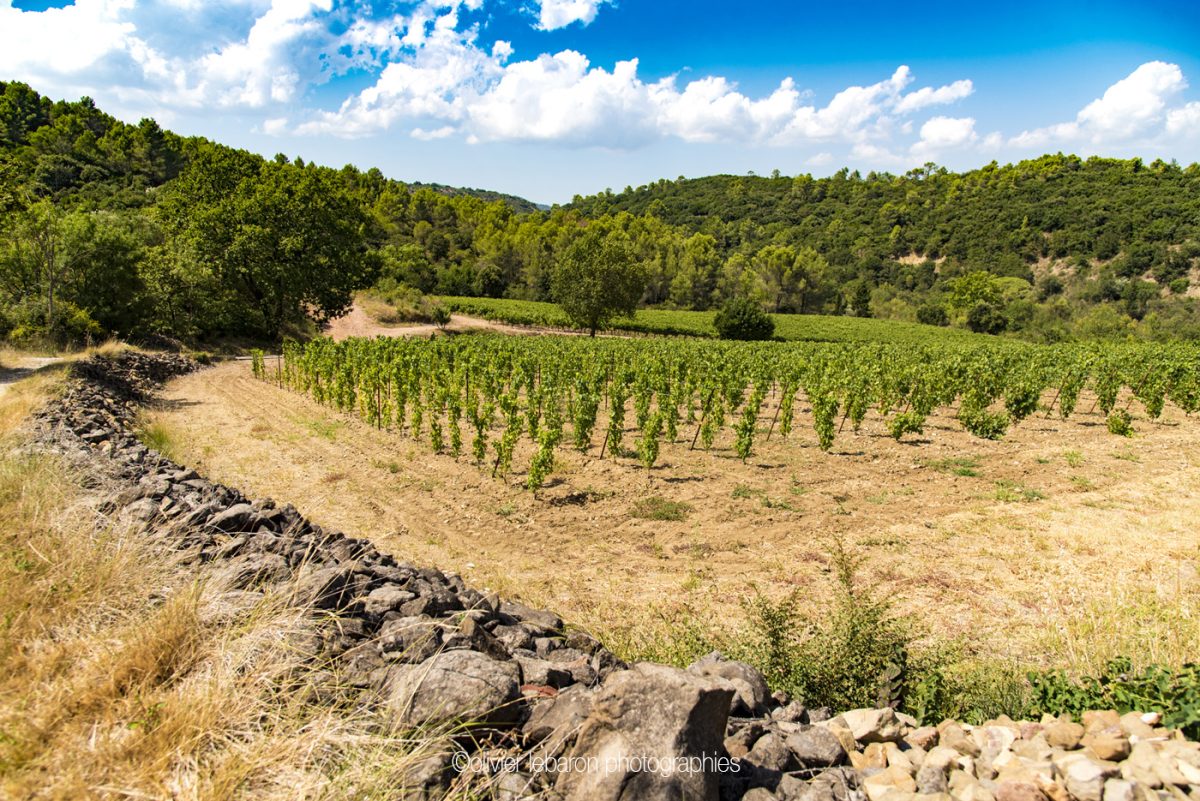 DOMAINE DE BELLEFONTAINE