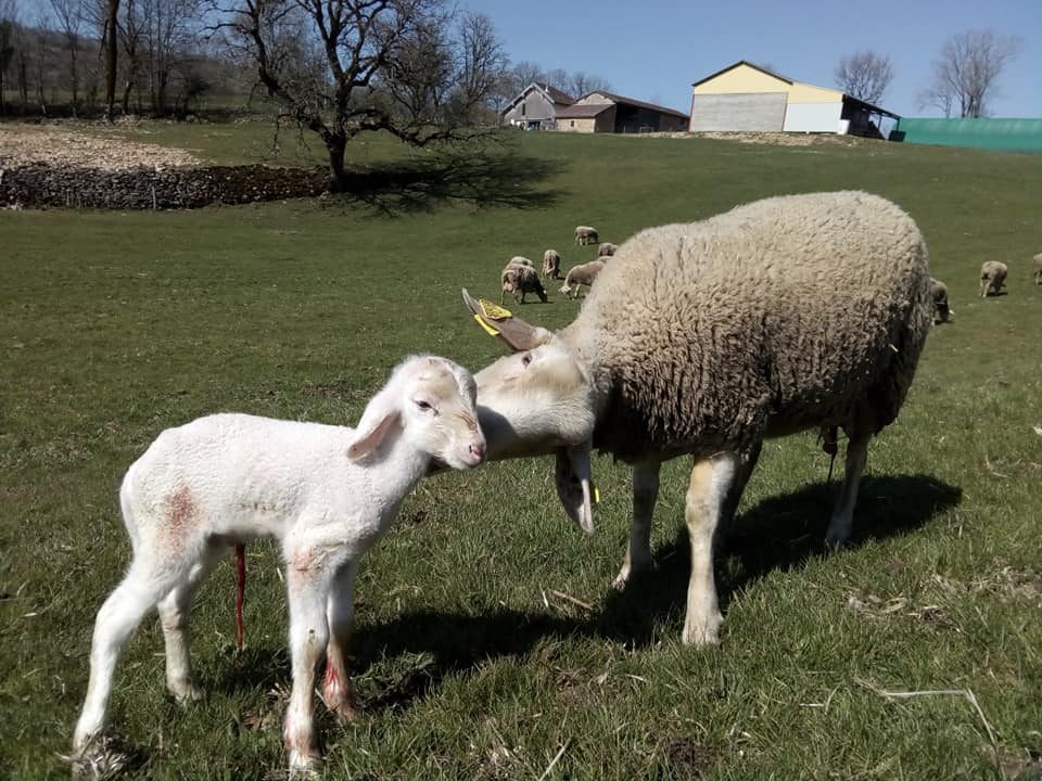La Ferme de la Demoiselle
