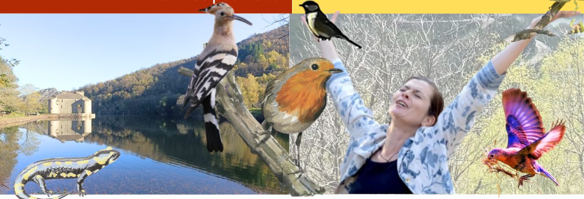 [COMPLET] ABC DE LA BIODIVERSITÉ LE MONDE DE LA NUIT
