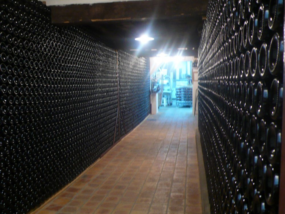 Domaine Daniel Chotard