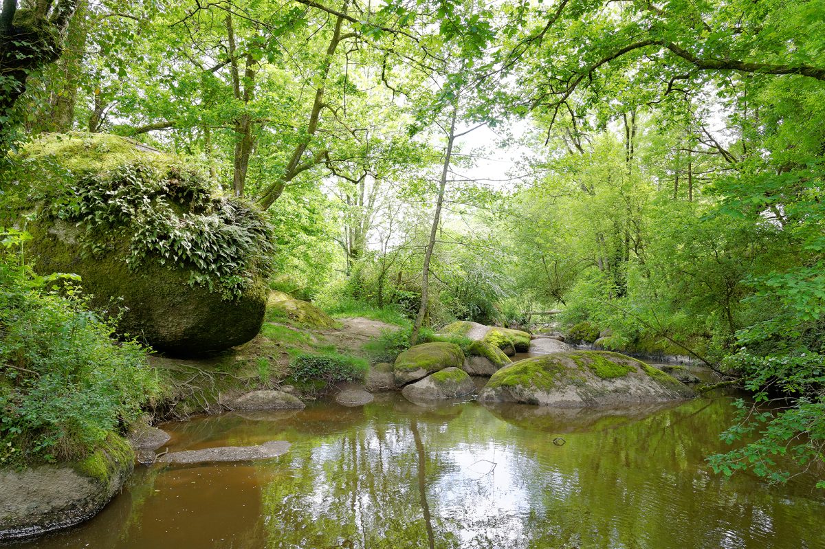 Jardin des Chirons - Rocher Branlant