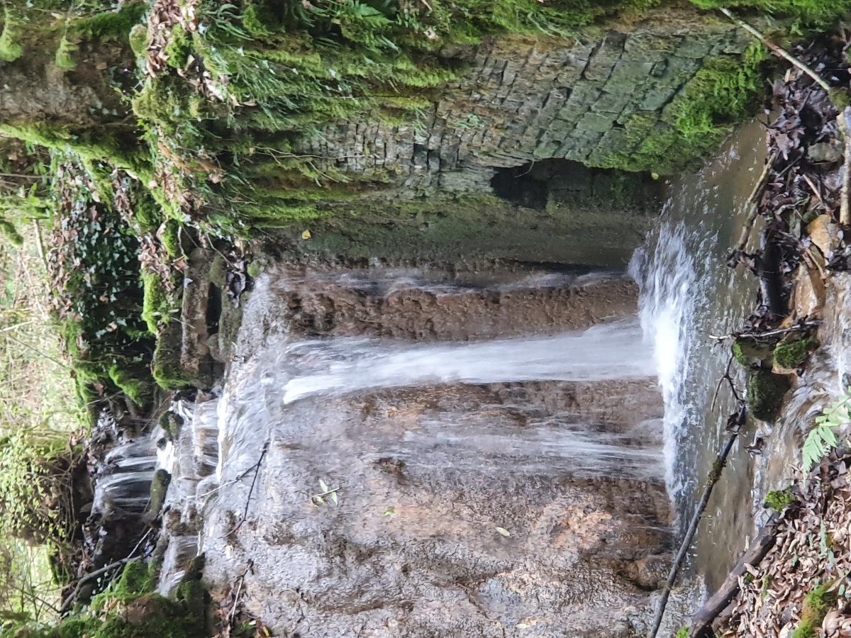 Journée du patrimoine - Eau et moulins
