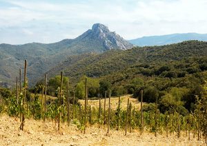 DOMAINE LAGUERRE LES PLANELS
