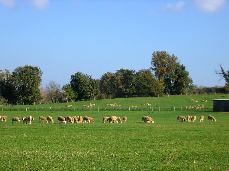 FERME DE LA CUCO
